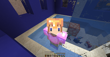 街 青い家内装は風呂と魚 ボケっとマイクラ