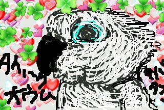 ヨウムとオウムイラスト特集 柚子蘭譚公式blog時の記憶創作ハーブ菜園倶楽部