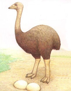 画像大量 おんj絶滅生物部 未確認ちゃんねる 画像大量 おんj絶滅生物部 未確認ちゃんねる