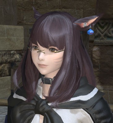 Ff14 ミラプリでオシャレ装備する時のメモ 不定期更新 例のff14 Blog