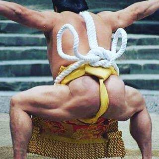 江戸時代末期の幕内力士の写真 歴ネタまとブ