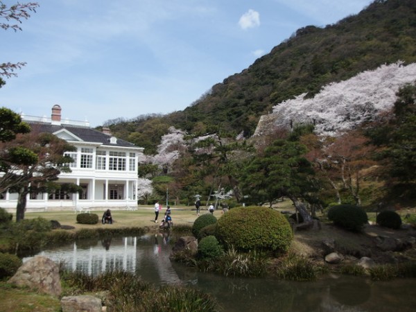 鳥取市の久松公園へお花見に行ってきました 鳥取の社長日記