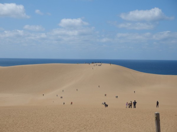 鳥取砂丘に行ってきました 写真を中心に 鳥取の社長日記