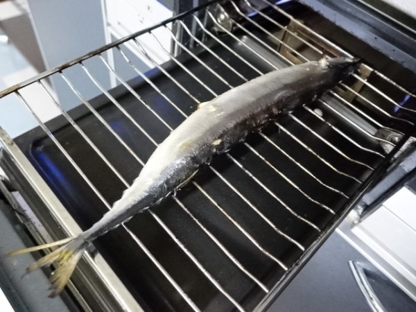 焼き魚の頭を右に向けて皿に乗せてしまいがちな理由 鳥取の社長日記