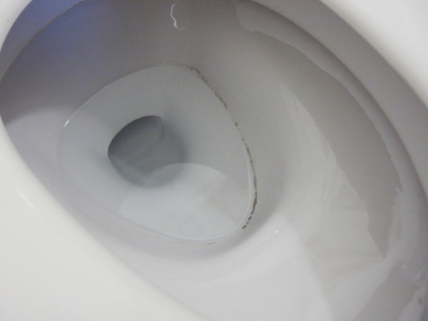 私おすすめのトイレ洗浄剤 ブルーレット ドボン 洗浄漂白剤 の紹介 鳥取の社長日記