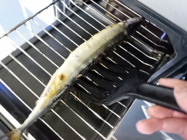 焼き魚の頭を右に向けて皿に乗せてしまいがちな理由 鳥取の社長日記