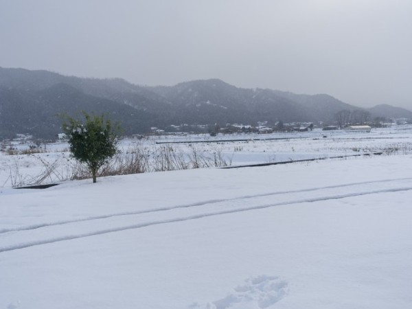 車用の雪かき（スノーブラシ）のうち小型のものは、フロントガラスの除雪にとても便利 : 鳥取の社長日記