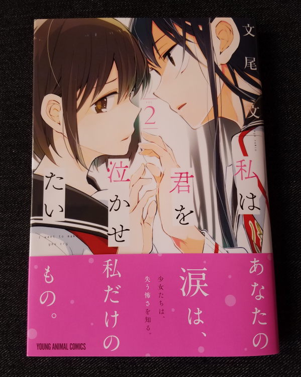 私は君を泣かせたい 2巻 文尾 文 著 ヤングアニマルコミックス レビュー 恋華 れんか 3rd