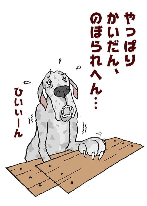 え それでいいのかよ りぼん デーンのりぼんと とうちゃんのブログ