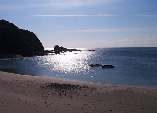 うちっ たび にいってきた デーンのりぼんと とうちゃんのブログ