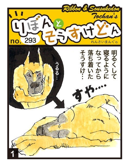 連載いぬまんぐゎ 293 そうすけ とうちゃんとがんばろうぜ デーンのりぼんと とうちゃんのブログ