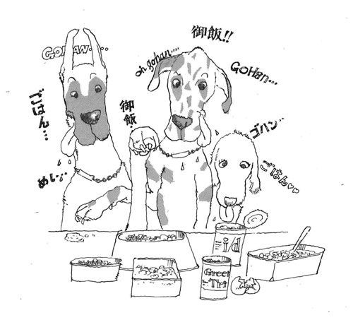 とうちゃん ぼくはしってたぞ デーンのりぼんと とうちゃんのブログ