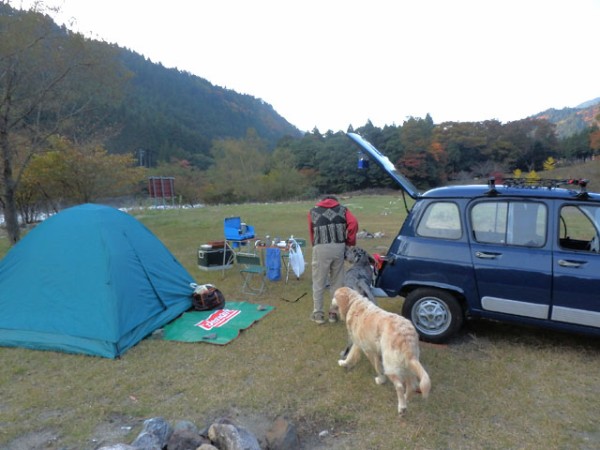 黄 和田 コレクション キャンプ 場 ペット