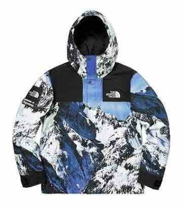 the north face for supreme