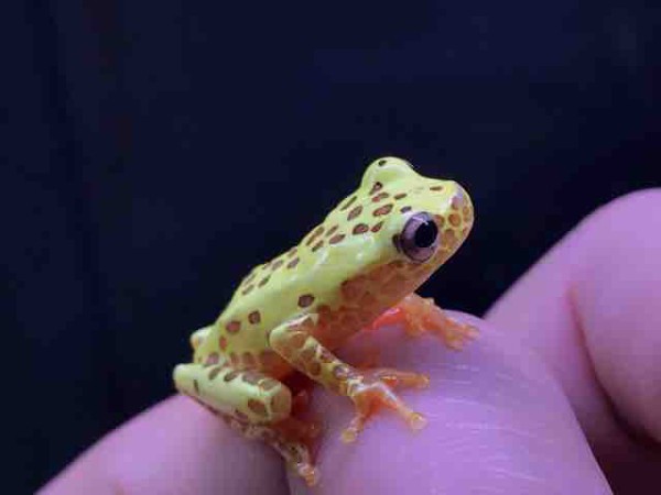 各ジャンルいろいろ入荷しています！ : CANDLEブログ