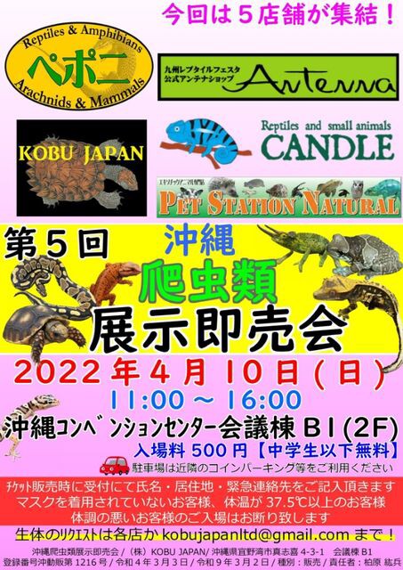 イベント情報 沖縄爬虫類展示即売会 Candleブログ