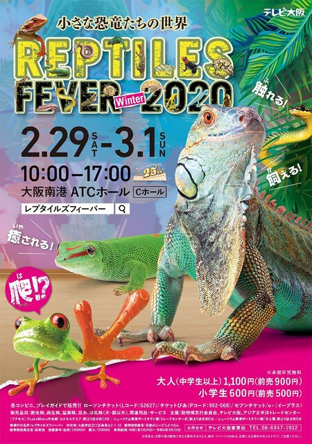 イベント情報 レプタイルズフィーバー Candleブログ