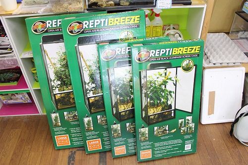 新タイプメッシュケージ入荷です！！ : CANDLEブログ