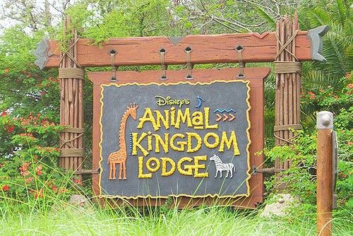 デラックス ディズニーアニマルキングダム ロッジ Wdw直営ホテル Welcome To 13th Princess Blog デラックス ディズニーアニマルキングダム ロッジ Wdw直営ホテル Welcome To 13th Princess Blog