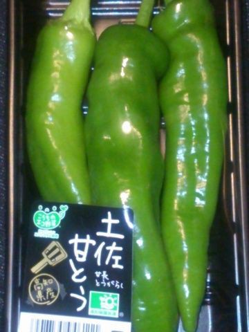 今夜の酒の肴 土佐甘とう 甘長とうがらし 40代貯金00万でセミリタイア
