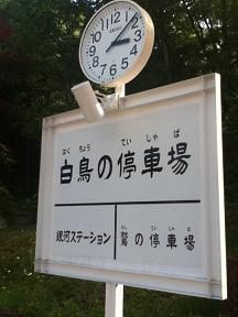 もうじき白鳥の停車場だねぇ 廣島梨乃の かぴばら生活