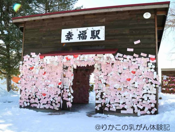 幸福行きの 永久切符 りかこの乳がん体験記