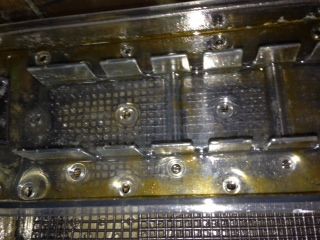 鯉とイカリムシ ２ とりあえず