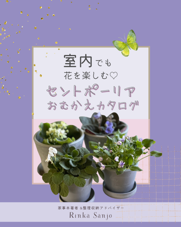 ○ アニリン 観葉植物の育て方参考書×6冊 ○