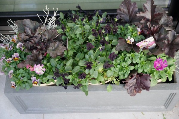 季節に合わせて5秒で変えられる スイッチ式 の寄せ植え 365日のとっておき家事 Powered By ライブドアブログ