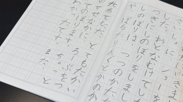 セリアで見つけた「ボールペン字練習帳」 : 365日のとっておき家事