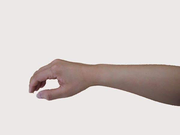 骨格診断企画 自己診断の参考に 3タイプの手 を比較 365日のとっておき家事 Powered By ライブドアブログ