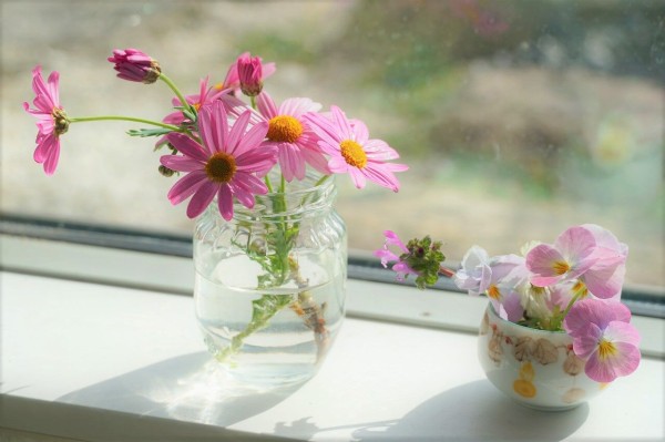 フラワーフォトの習作 花の写真を上手に撮るには 365日のとっておき家事 Powered By ライブドアブログ