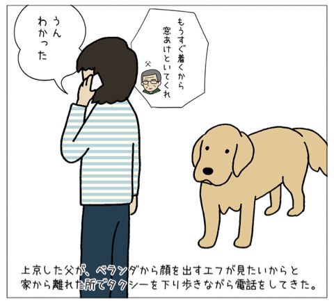 エフ漫画 驚きのあまり リンマンブルース ゴールデンレトリバーの生態とマンガ Powered By ライブドアブログ