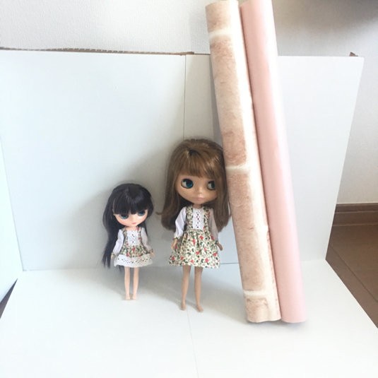 撮影用ドールハウスを作ろう！と決意したけど決意しただけ : リカ