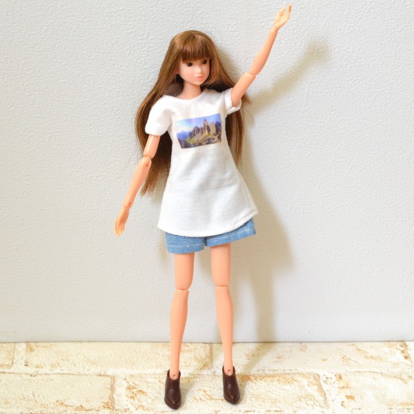 22cmドールサイズのTシャツなどを27cmドールサイズさんに着てもらい
