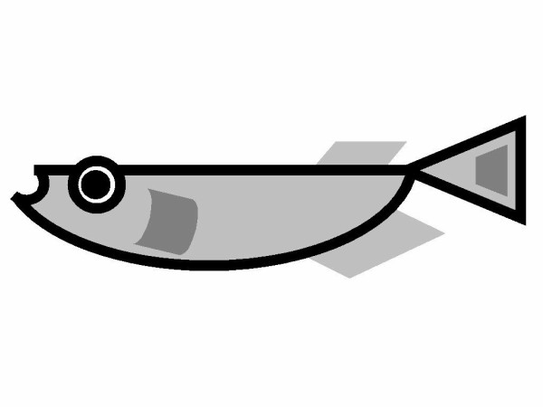 戯れにメダカの絵を描いてみた 水槽にやったことを忘れないように書いておくブログ 戯れにメダカの絵を描いてみた 水槽にやったことを忘れないように書いておくブログ