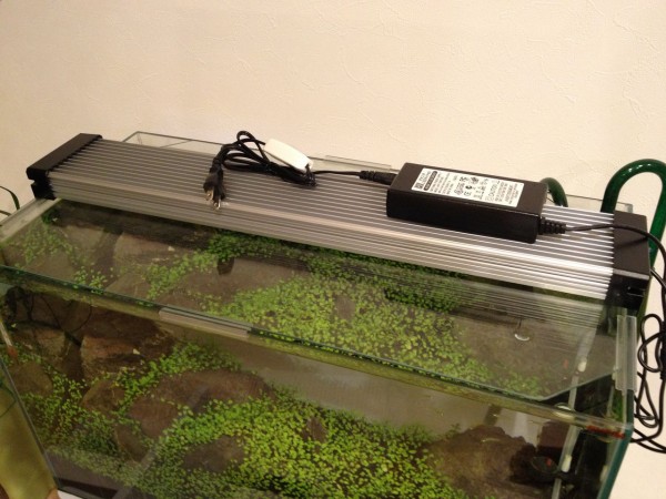 テクニカLEDライト60クリアーを設置する : 水槽にやったことを忘れ