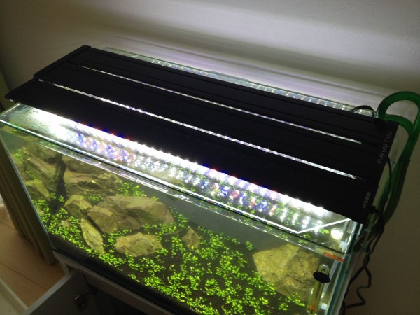 限定セール Kotobuki フラットled600 説明書付 魚用品 水草