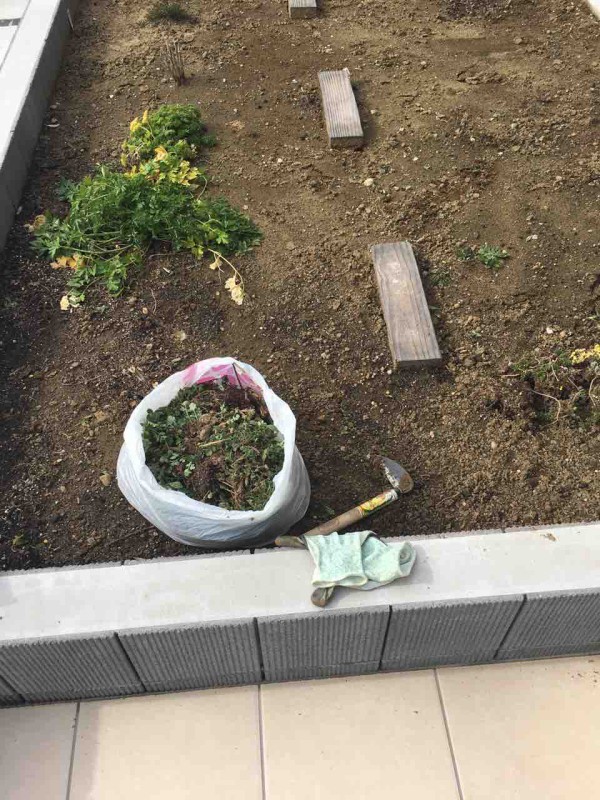 庭の草取が不要 固まる砂 メリット デメリット Rinのシンプルライフ Powered By ライブドアブログ