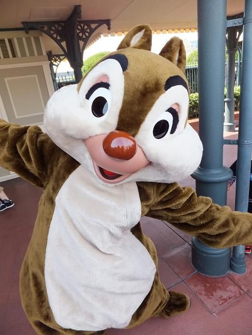 ランド チップとデール グリーティング画像 リスっ子探偵団のtdrレポ