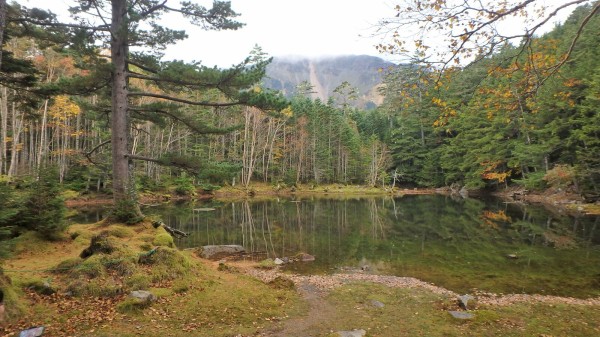 北八ヶ岳 しらびそ小屋ツアー 白馬日和