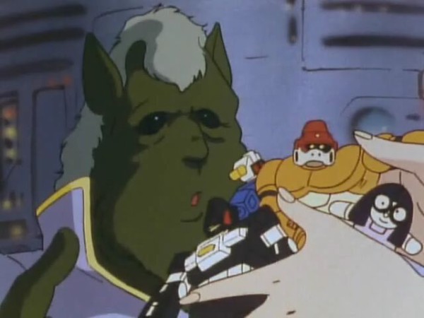 arb6