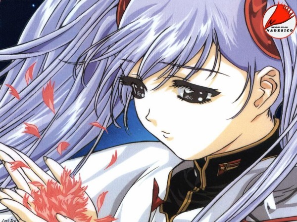 子供ワイ 機動戦艦ナデシコはユリカが好き 大人ワイ ルリルリのナデシコという居場所を大切に思ｒｙ ガンダム宇宙世紀アムロとシャア