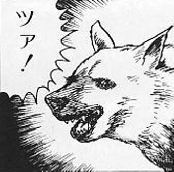 ツア犬