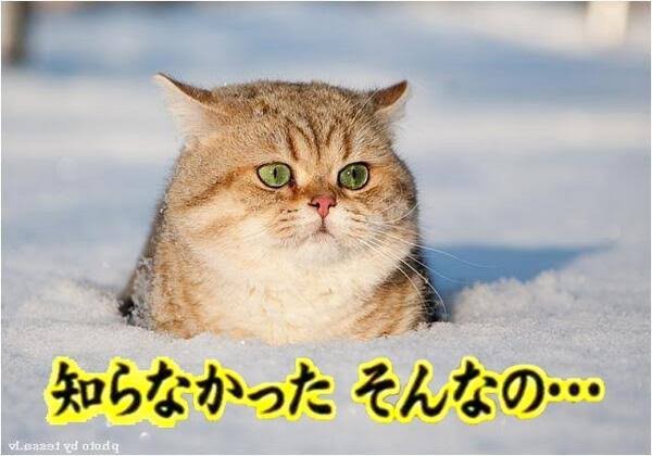 1712750175400