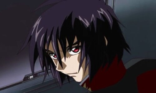 shin01