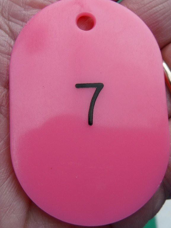 ３月ラーメン その拾捌 烈志笑魚油 麺香房 三く 元 食い倒れ日報 Ez ｲｰｼﾞｰ