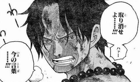 ワンピースのエース死亡って今でこそネタにされてるけど当時は感動したよな なんj Pride