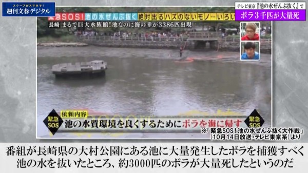 文春砲 テレ東 池の水ぜんぶ抜く でボラなど約3000匹が大量死 なんj Pride