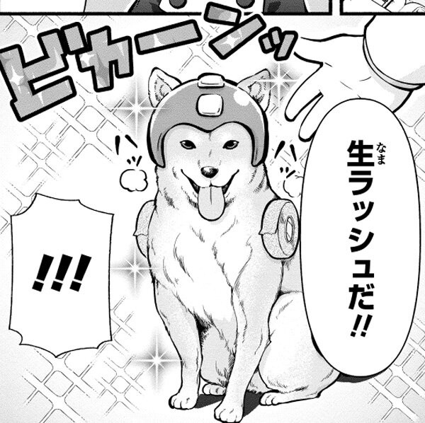 インタビュー掲載】祝！単行本2冊同時発売！「ロックマンちゃん